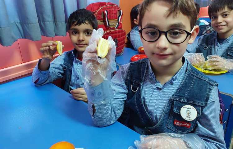 درس: علوم موضوع: شناخت انواع دانه‌ه 4