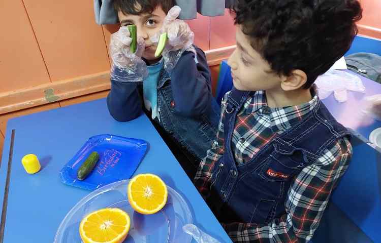 درس: علوم موضوع: شناخت انواع دانه‌ه 5