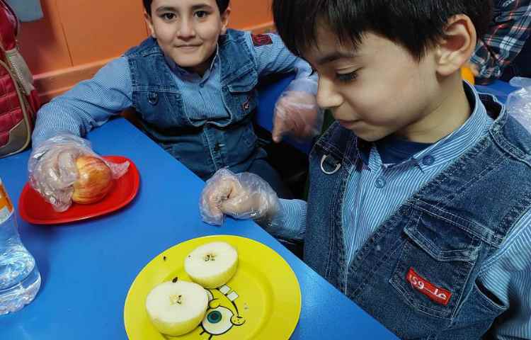 درس: علوم موضوع: شناخت انواع دانه‌ه 6