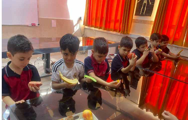 درس: علوم موضوع: مشاهده 1