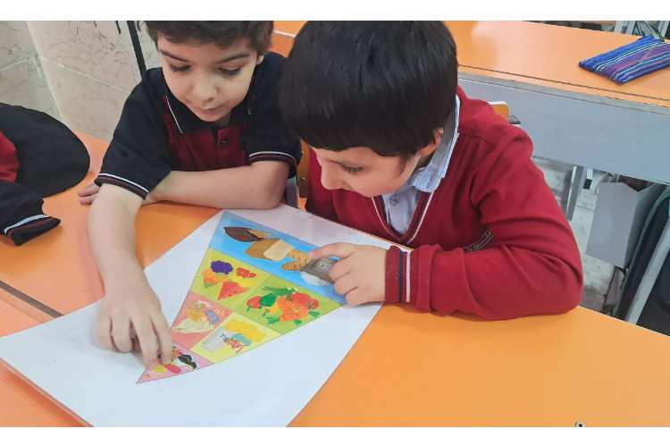 درس علوم و آشنایی با هرم مواد غذایی 1