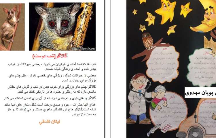 درس علوم، پایه دوم نشاط، تحقیق در مورد حیوانات شبگرد و مشاغل شبانه 1