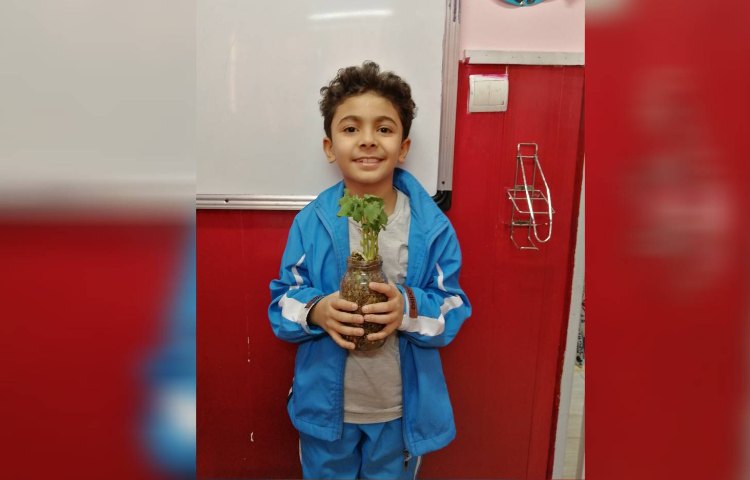 :درس علوم، چرخه رشد