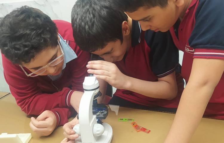 درس علوم کار با میکروسکوپ 3