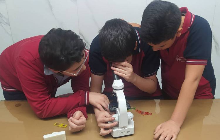 درس علوم کار با میکروسکوپ 4