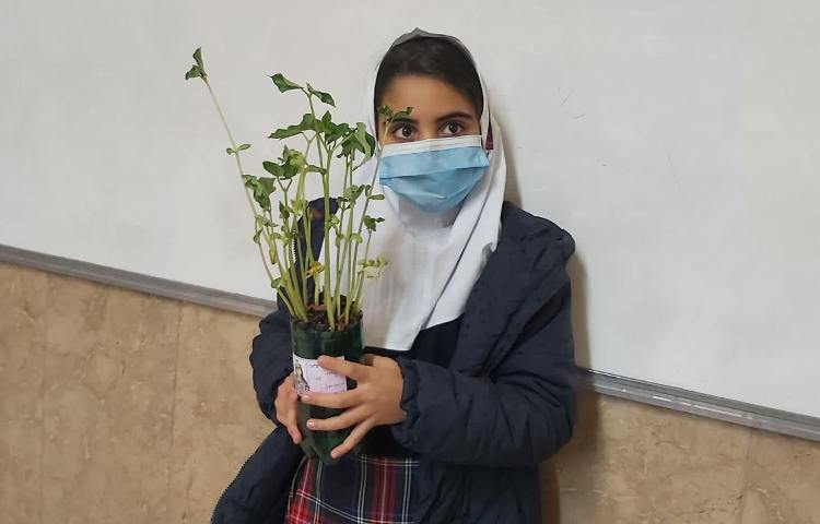 درس علوم کاشت دانه