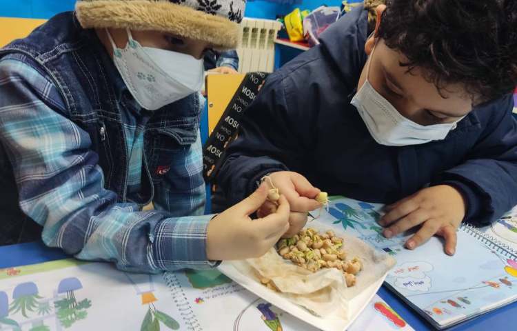 :درس علوم، کاشت لوبیا و مشاهده قسمت جوانه 1