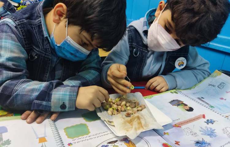 :درس علوم، کاشت لوبیا و مشاهده قسمت جوانه 2