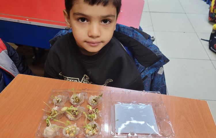 :درس علوم، گیاهان 1