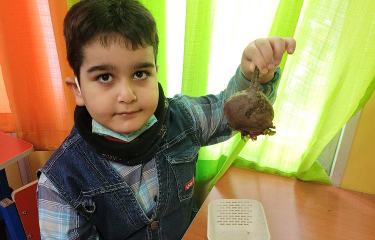 :درس علوم، گیاهان 2