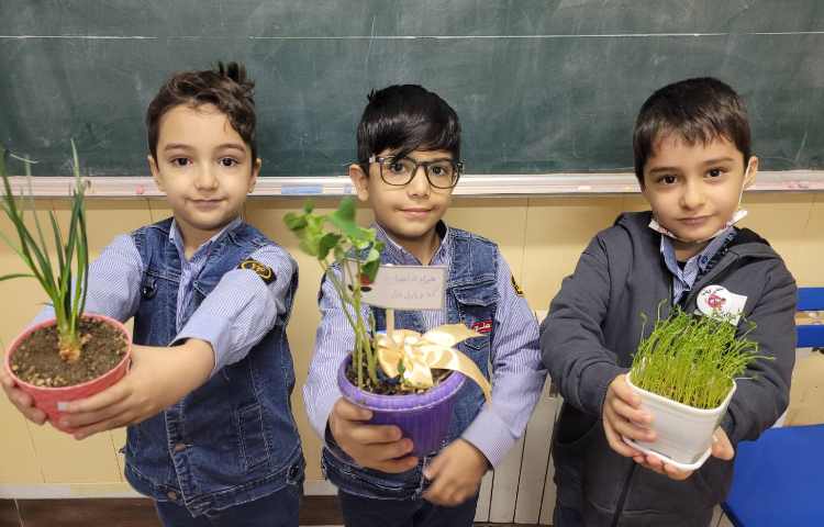 درس علوم، گیاهان 2