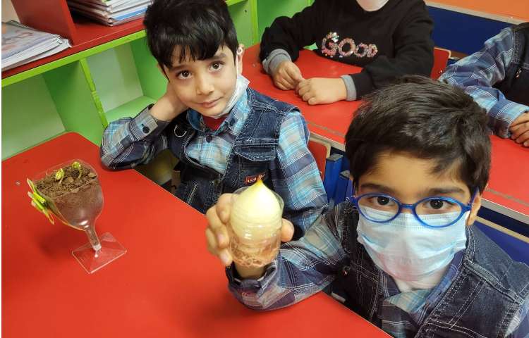 :درس علوم، گیاهان 3