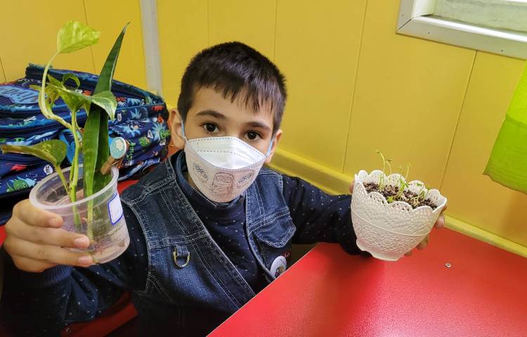 :درس علوم، گیاهان 4