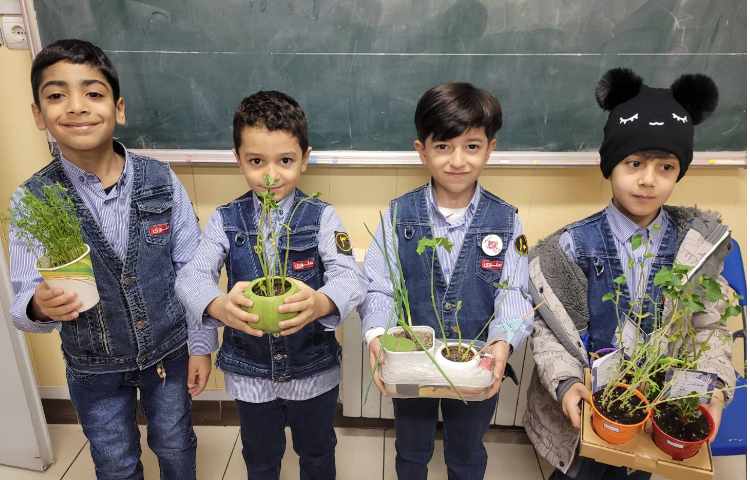 درس علوم، گیاهان 4