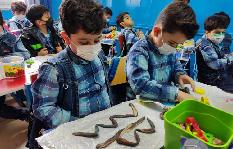 :درس فارسی، آموزش خطوط راست خمیده زیگ زاگ 3