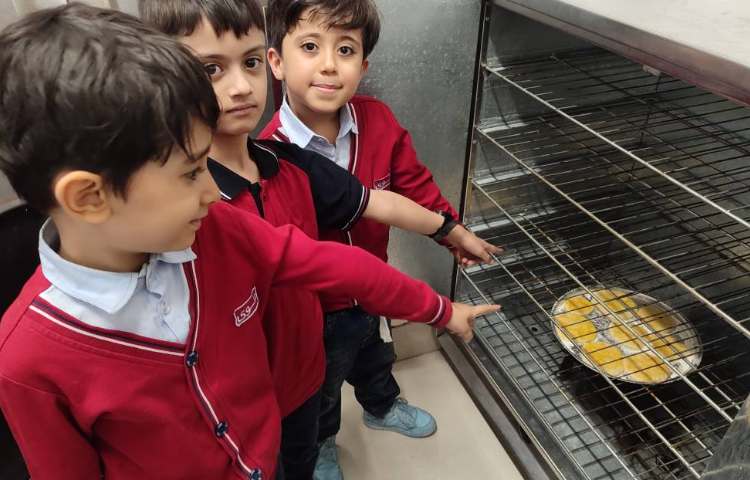 درس فارسی برای ایجاد انگیزه و تثبیت یادگیری نشانه (ن) بازی با نارنگی و پخت نان در کلاس توسط دانش‌آمو 1