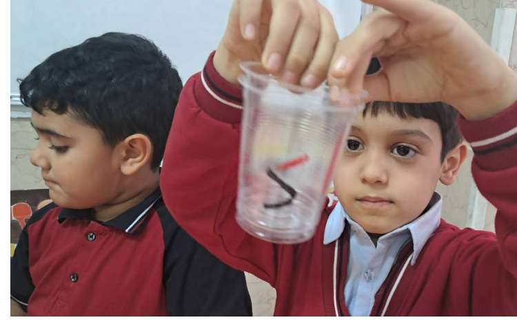 درس فارسی تمرین ساختن ترکیب و کلمه ها 2