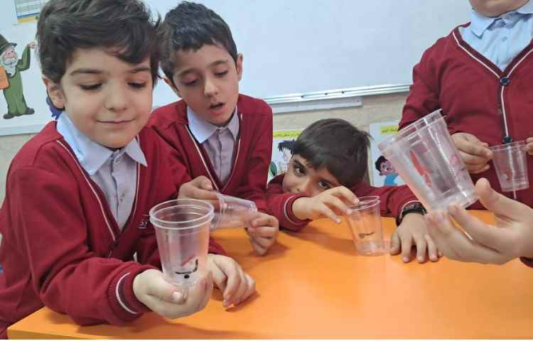 درس فارسی تمرین ساختن ترکیب و کلمه ها 6