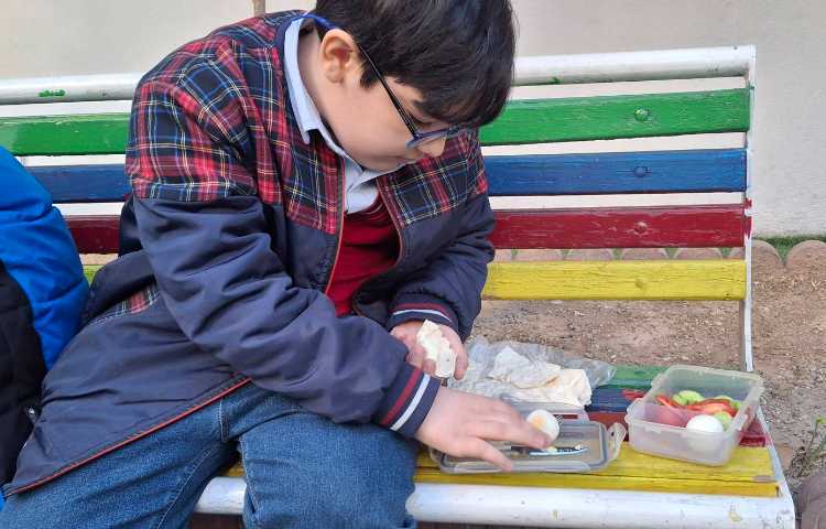 درس نهم علوم (تدریس ساختار سلول به کمک تخم مرغ و صبحانه ی سالم) 2