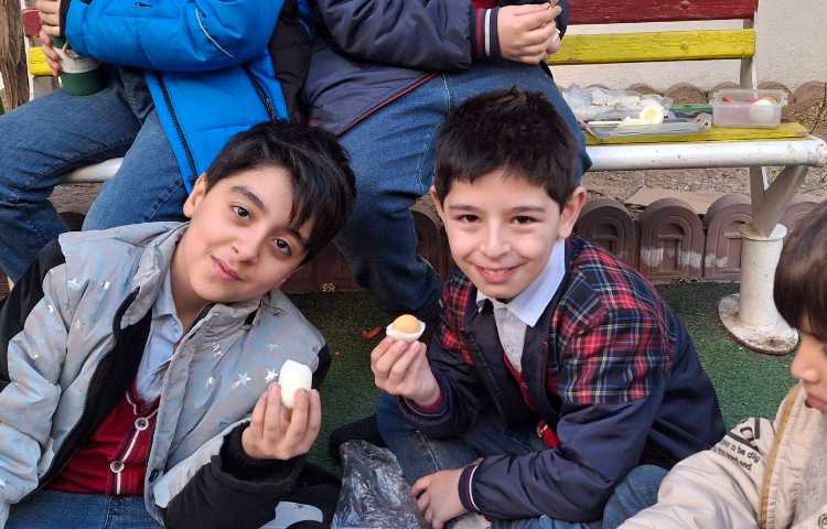 درس نهم علوم (تدریس ساختار سلول به کمک تخم مرغ و صبحانه ی سالم) 3