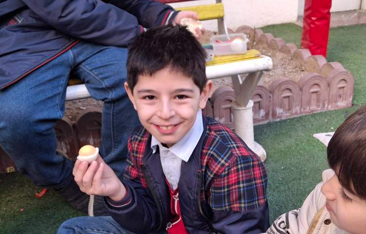 درس نهم علوم (تدریس ساختار سلول به کمک تخم مرغ و صبحانه ی سالم) 4