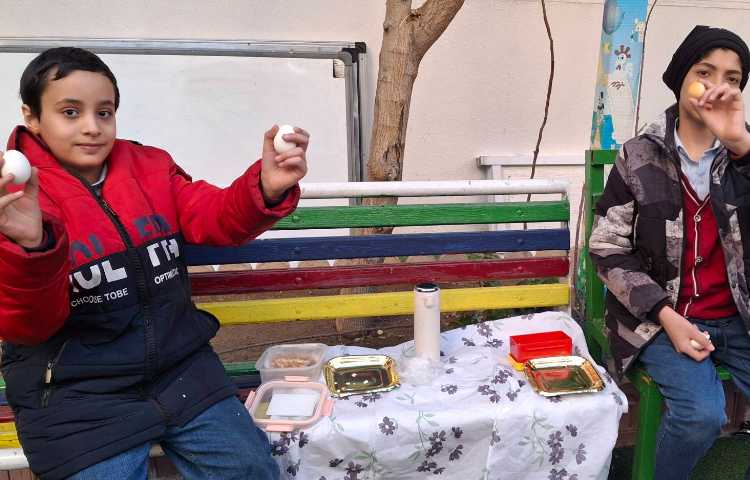 درس نهم علوم (تدریس ساختار سلول به کمک تخم مرغ و صبحانه ی سالم) 8