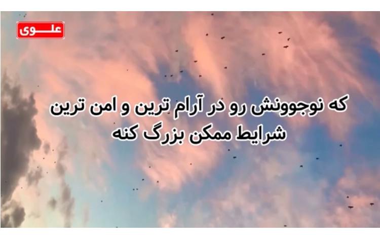 در دل بحران تربیت متوقف نمی شود 4