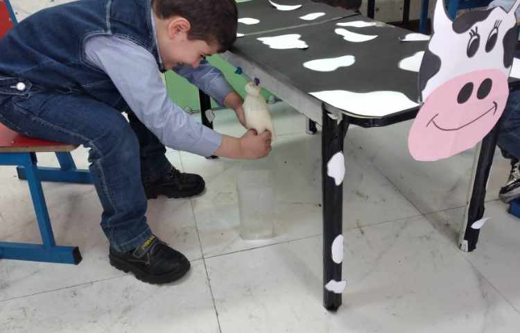 دستان توانمند دوشیدن شیر گاو مبحث جانوران 2