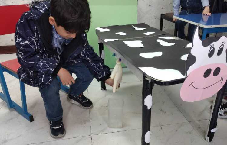 دستان توانمند دوشیدن شیر گاو مبحث جانوران 3