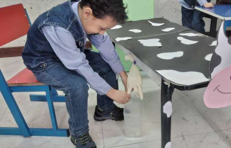 دستان توانمند دوشیدن شیر گاو مبحث جانوران 4