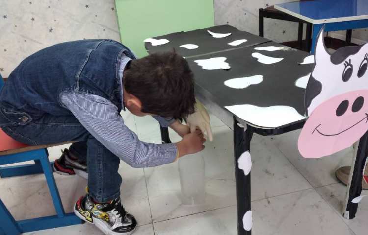 دستان توانمند دوشیدن شیر گاو مبحث جانوران 5