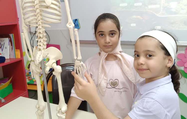 دسته بندی جانوران 1