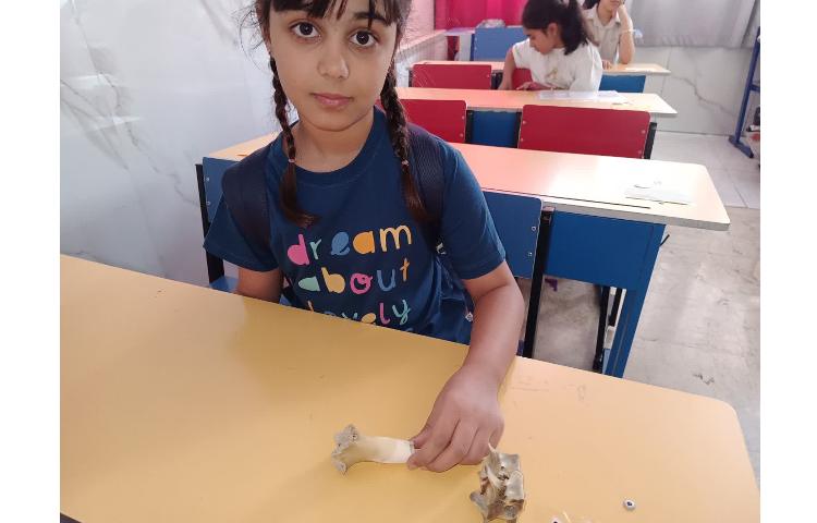 دسته بندی جانوران 3