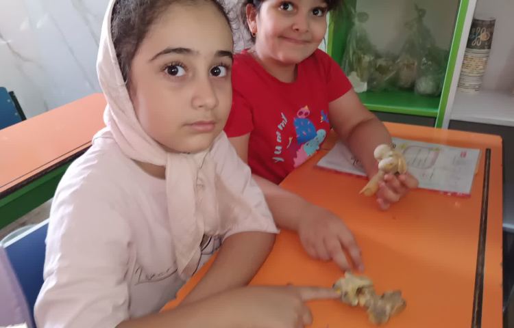 دسته بندی جانوران 4