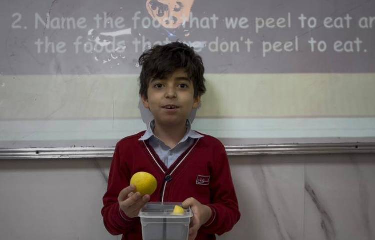 دسته‌بندی میوه‌ها بر اساس پوست گرفتن یا نگرفتن آن‌ها-زنگ Science 1