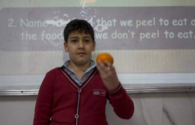 دسته‌بندی میوه‌ها بر اساس پوست گرفتن یا نگرفتن آن‌ها-زنگ Science 2