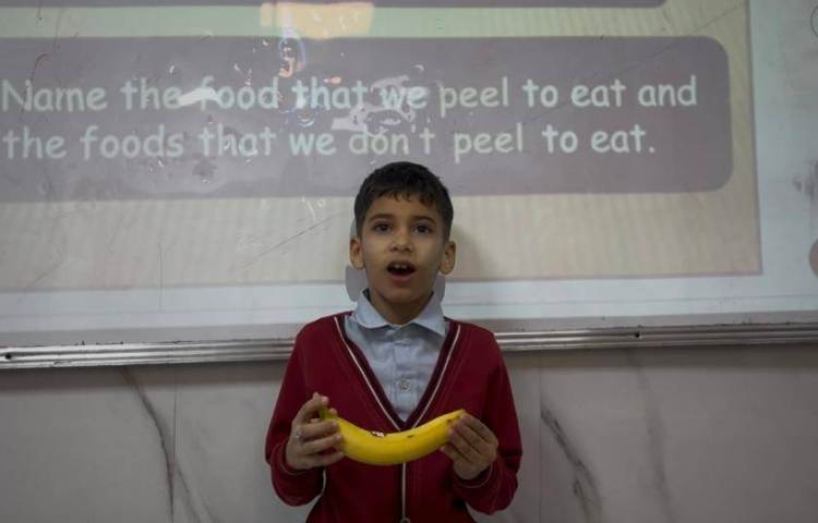 دسته‌بندی میوه‌ها بر اساس پوست گرفتن یا نگرفتن آن‌ها-زنگ Science 3