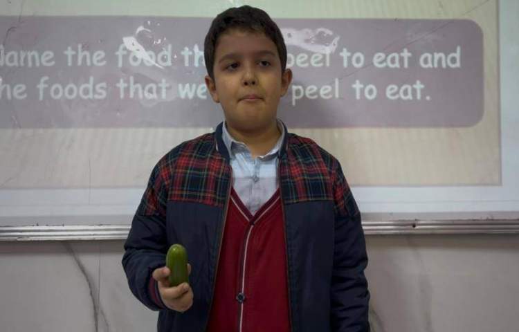 دسته‌بندی میوه‌ها بر اساس پوست گرفتن یا نگرفتن آن‌ها-زنگ Science 4