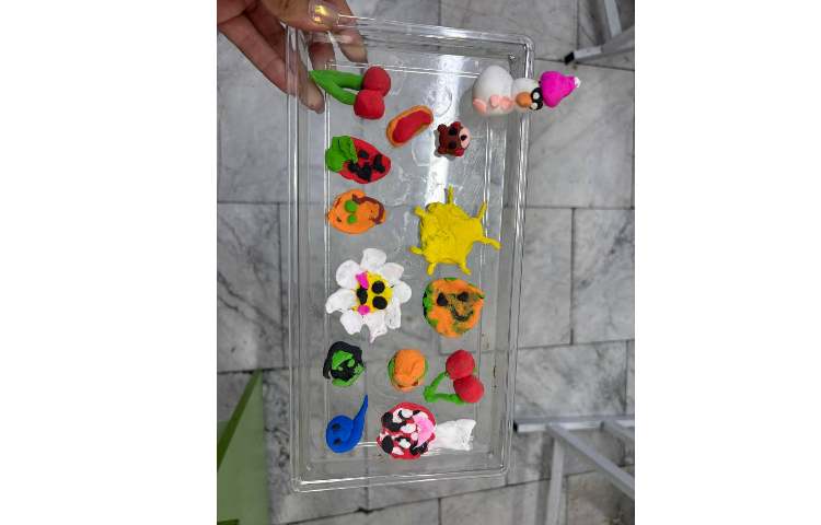 دستورزی ساخت اشکال مختلف با خمیر کِلی 3