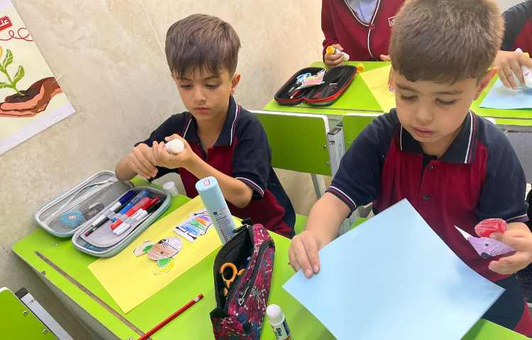 دستورزی موش 1