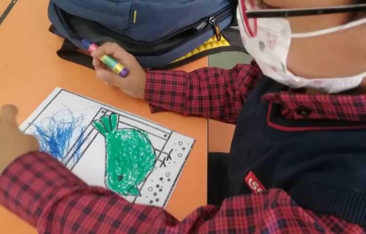 دست سازه خلاق پرنده 5