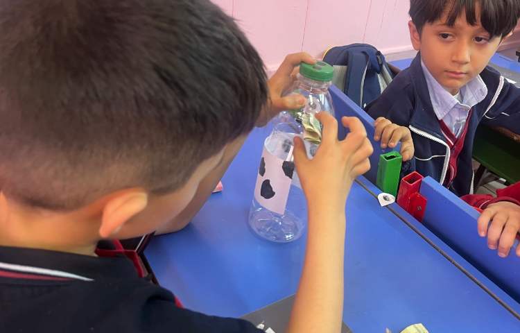 دست سازه ها و پس انداز 3