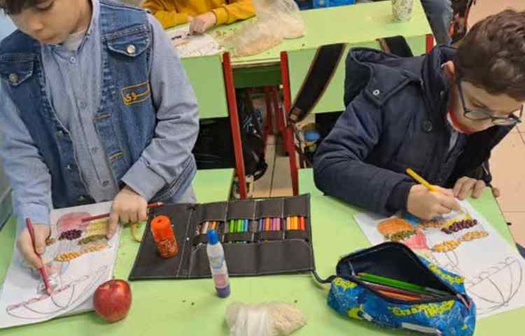 دست ورزی انواع دانه 1