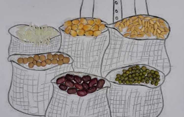 دست ورزی انواع دانه 5