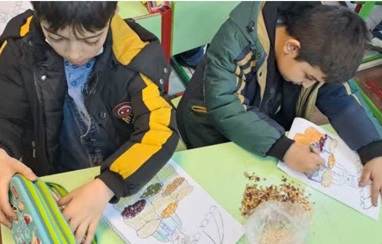 دست ورزی انواع دانه 6