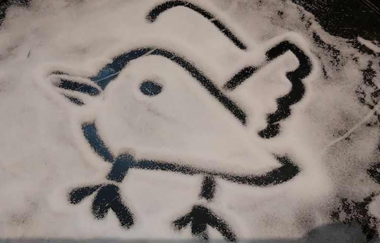 دست ورزی با نمک 9