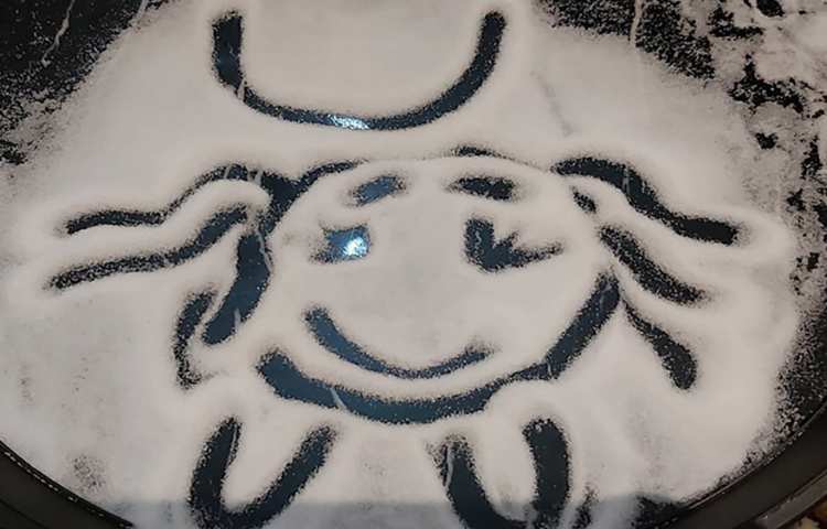 دست ورزی با نمک