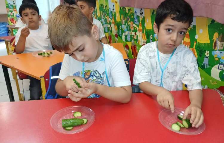 دست ورزی ، خورد کردن خیار و آماده کردن آب ، دوغ ، خیار در یک روز تابستانی 1