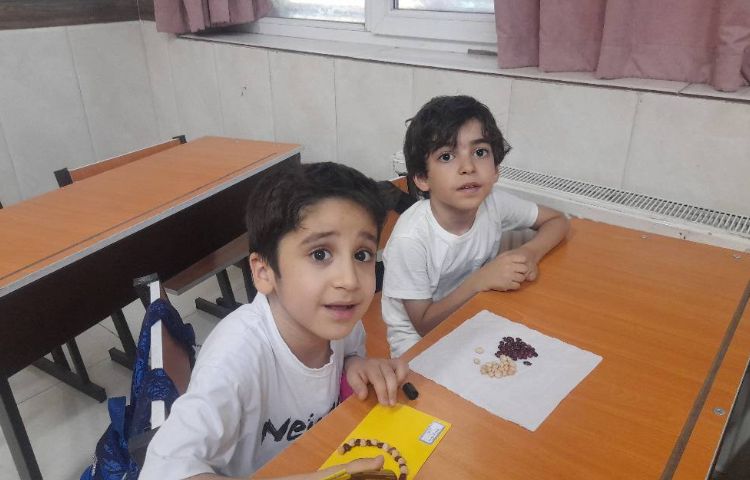 دست ورزی ریاضی با حبوبات 2