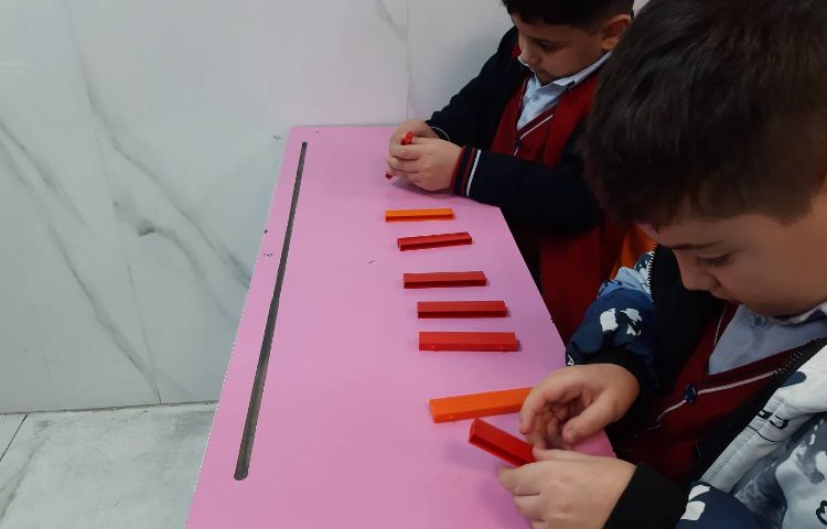 دست ورزی مفهوم دسته و اعضای دسته 5